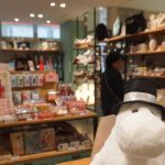 レス1番のリンク先のサムネイル画像