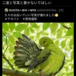 レス1番の画像4
