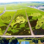 レス13番の画像1