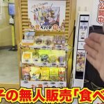 レス19番の画像3