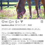 レス4番の画像1