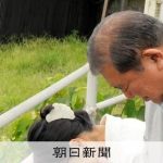 レス1番のリンク先のサムネイル画像
