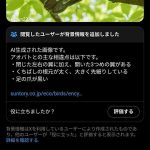 レス2番の画像1