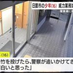 レス1番のリンク先のサムネイル画像