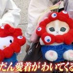 レス2番の画像5