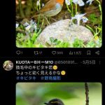 レス1番の画像3