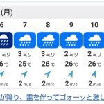 レス77番の画像1