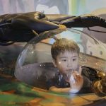 レス1番のリンク先のサムネイル画像