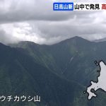 レス1番のリンク先のサムネイル画像