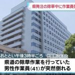 レス1番のリンク先のサムネイル画像