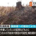 レス1番のリンク先のサムネイル画像
