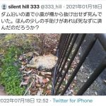 レス5番の画像1