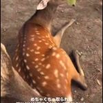 レス1番の画像1