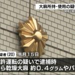 レス1番のリンク先のサムネイル画像