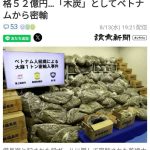 レス11番の画像1
