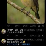 レス1番の画像2