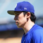 レス2番のリンク先のサムネイル画像