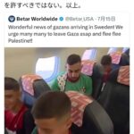 レス13番の画像3
