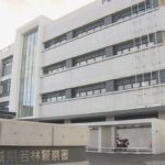 レス1番のリンク先のサムネイル画像