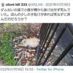 レス12番の画像1