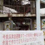 レス1番のリンク先のサムネイル画像