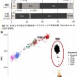レス43番の画像1