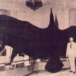 レス6番の画像1