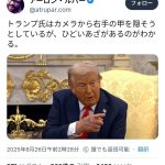レス1番の画像2