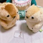 レス1番の画像3