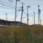 レス2番の画像3