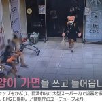 レス2番の画像1