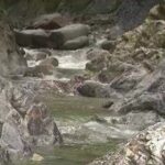 レス1番のリンク先のサムネイル画像