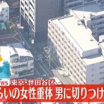レス1番のリンク先のサムネイル画像
