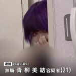 レス1番のリンク先のサムネイル画像