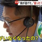 レス1番のリンク先のサムネイル画像