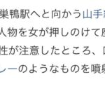 レス1番の画像2