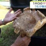 レス1番のリンク先のサムネイル画像