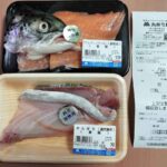 レス12番の画像2
