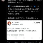 レス15番の画像6