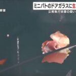 レス1番の画像1