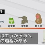 レス3番の画像3
