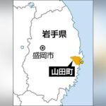 レス1番のリンク先のサムネイル画像