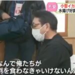 レス1番の画像2