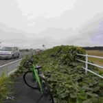 レス4番の画像1