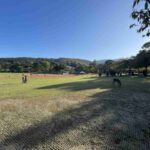 レス1番の画像4