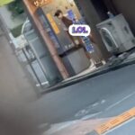 レス2番の画像1