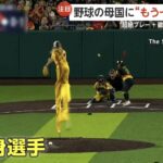 レス2番の画像1