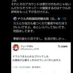レス15番の画像5