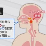 レス3番の画像1
