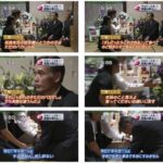 レス25番の画像1